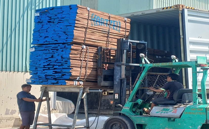 Các Loại Gỗ Óc Chó Trên Thị Trường Mà Bạn Cần Lưu Ý